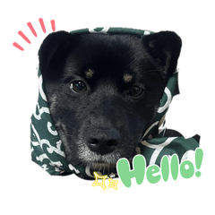 konomama_20250903221849