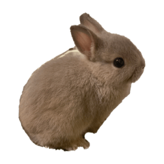 tonton_20250904011220