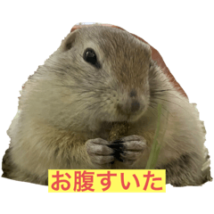 m_20250904012718