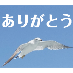 HAMAJIRO_20250903134426