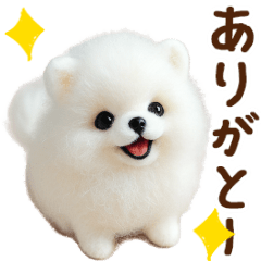 動く♡羊毛ポメラニアンの家族連絡