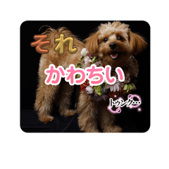 meimei_20250903170333