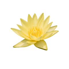 The Happy Corner_20250903213251