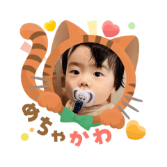 mi_202509040807325784248