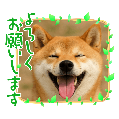 minnie_20250904082819