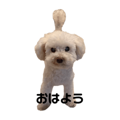 kaoru_20250903175413