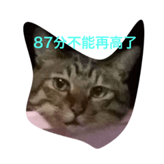 咪咪球球噹噹