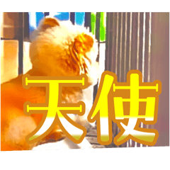 asahi_20250903185600