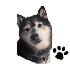 M_20250904095158
