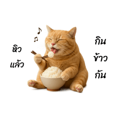 July_310139_20250903170333