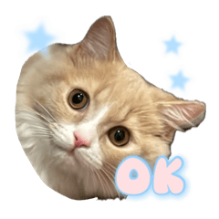 asuka_20250903194901