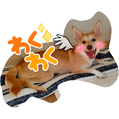 kasumi_20250903194814