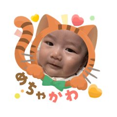 non_20250904121300