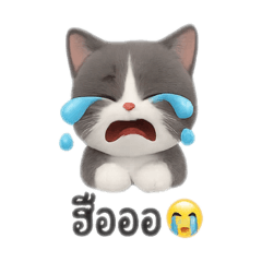 Tommy_20250903225838