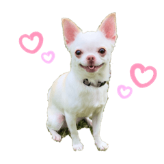 KAORI_20250904032612