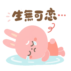 卡卡兔！日常愛用清單！工作生活的每一天！