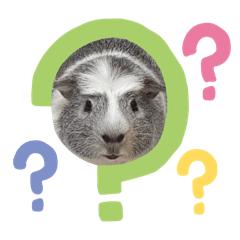 一些沒意義的鼠