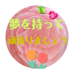 Sunny_20250903195409