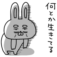 うーさん、ネガティブすぎる