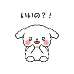 Cute and plump poodle, Ru-chan