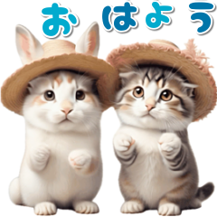 [Moving] Rabbit and Cat Meme Real