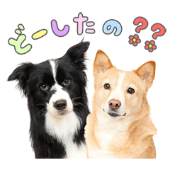 Stamp Hiratsuka No:10