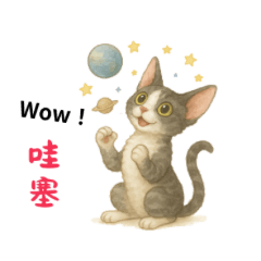 かわいい猫のスタンプ Vol.1