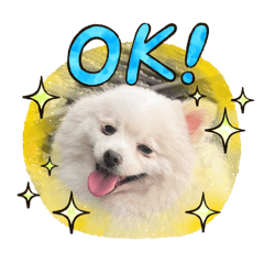 我是球球、我是福寶