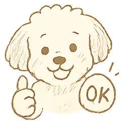 トイプードルのぷーくん【犬】白