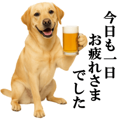 Labrador Retriever  Formal Stickers