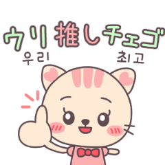 Koyang's Oshikatsu Japanese & Korean Mix