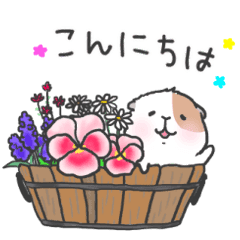 モルモットたちの春 Line スタンプ Line Store モルモットたちの春 Line スタンプ Line Store