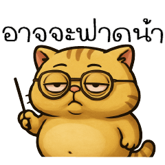 แมวกวนๆ ฮาได้ทุกวัน