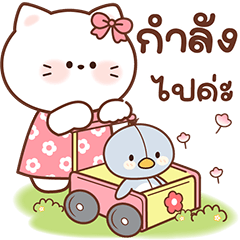 เจ้าเหมียวสีขาว จ้ำม่ำ น่ารัก น่ากอด:)