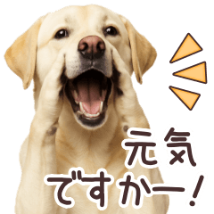 Labrador Retriever Response Stickers