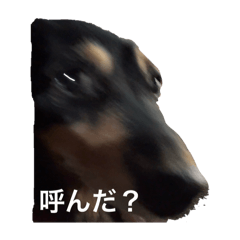 mizuki_20250904020234