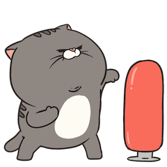 Boogie : Pop Trainee