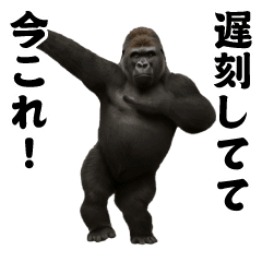 Dance Now!-Mountain Gorilla