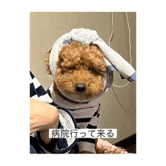 yurika_20250903225816