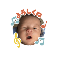 koto_20250904083941