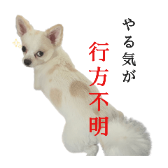 eri7070_20250903230910