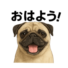 パグのコトバ