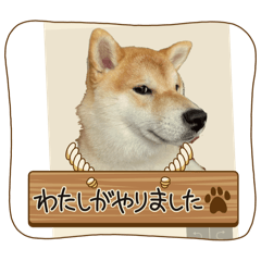 Mozmoz_20250903235816