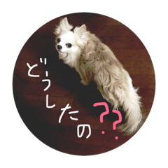 chiiiiiiiiwawa