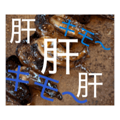 saori_20250904225620