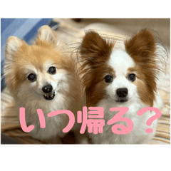 radio_20250904114546