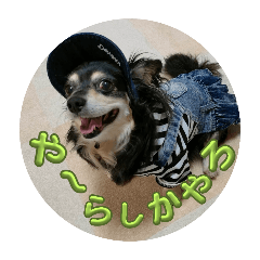 Yoshiken_20250904163811