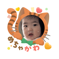 bomber_20250904090252