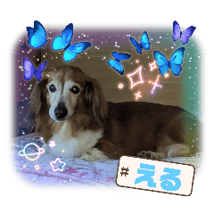 Panda_20250904131854