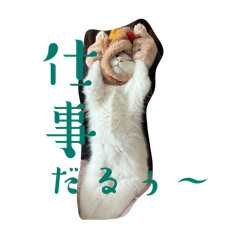 k_20250904132608